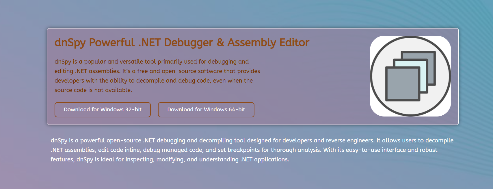 Can dnSpy Decompile Any .NET Application