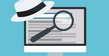 Why Link Hat Platforms Are Becoming Popular Among Web Explorers